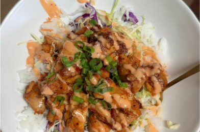 30 Minute Easy Bang Bang Chicken Bowl Recipe for Dinner or Lunch