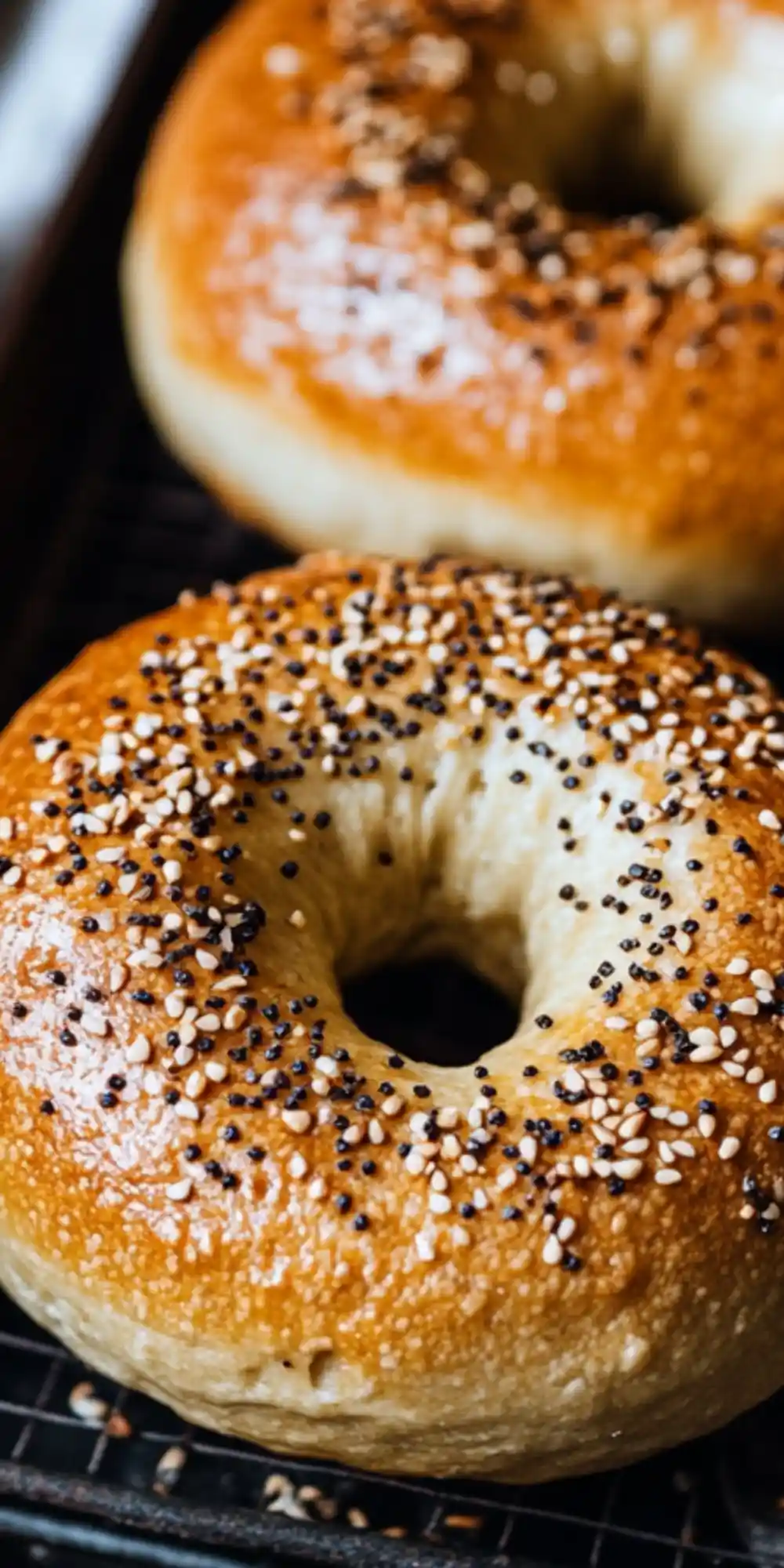 Sourdough Bagels Recipe